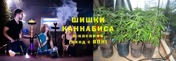 прущие грибы Балахна